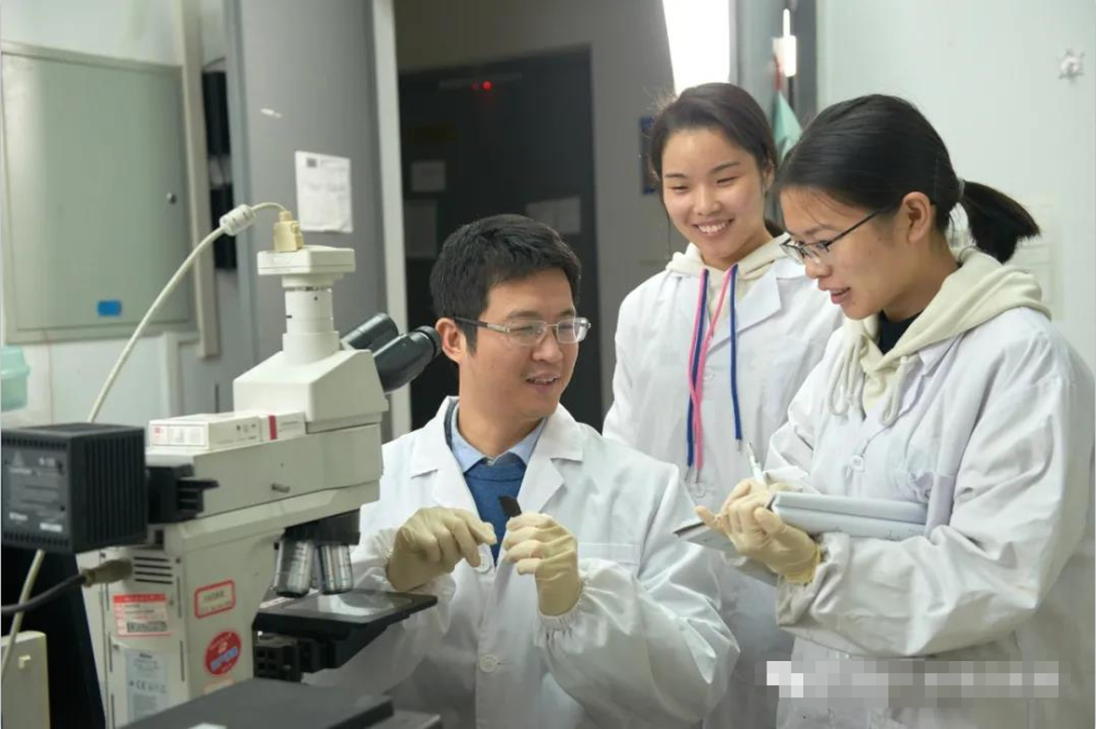 痛心 华中科技大学42岁教授去世 材料学领域损失重大人才 腾讯新闻