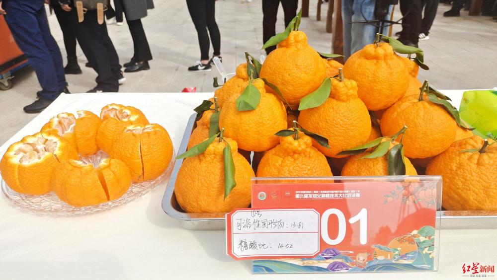 丹棱县|四川丹棱一辅警辞职回乡，三年成为“果王”，年入百万如何炼成？