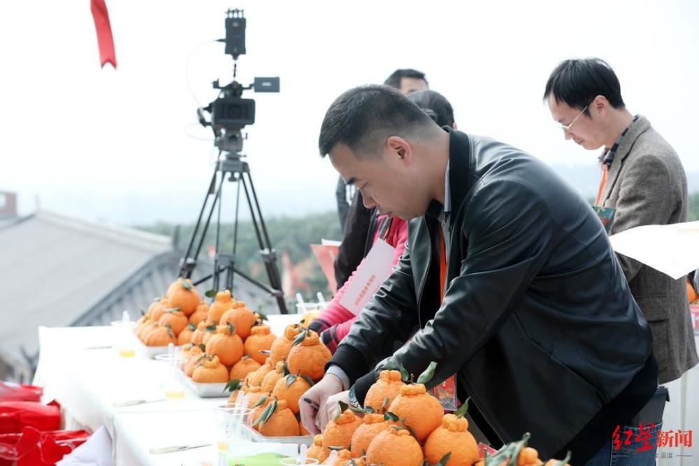 丹棱县|四川丹棱一辅警辞职回乡，三年成为“果王”，年入百万如何炼成？