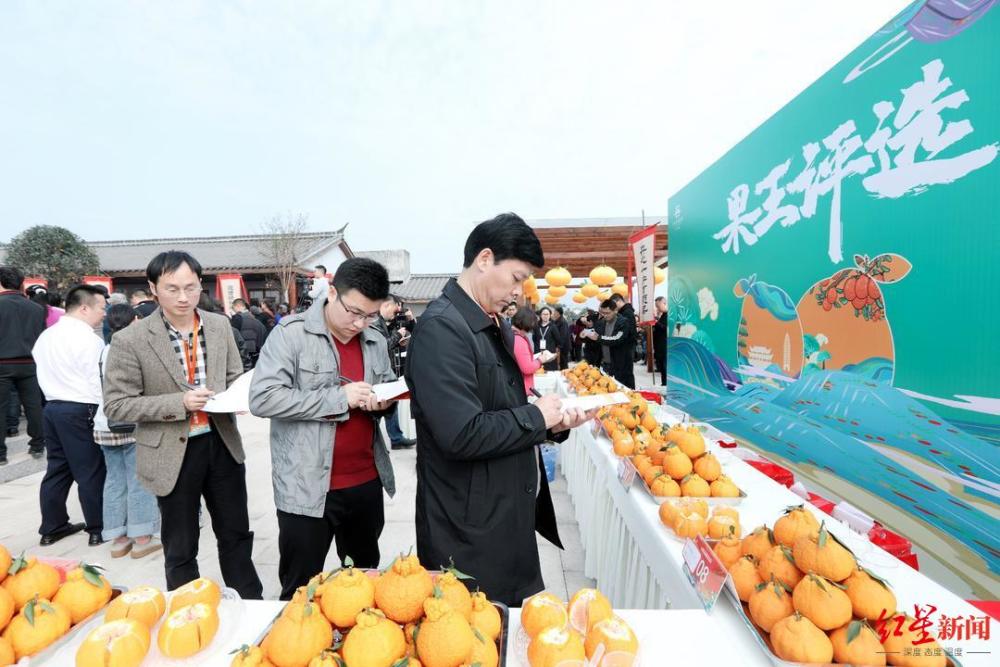 丹棱县|四川丹棱一辅警辞职回乡，三年成为“果王”，年入百万如何炼成？