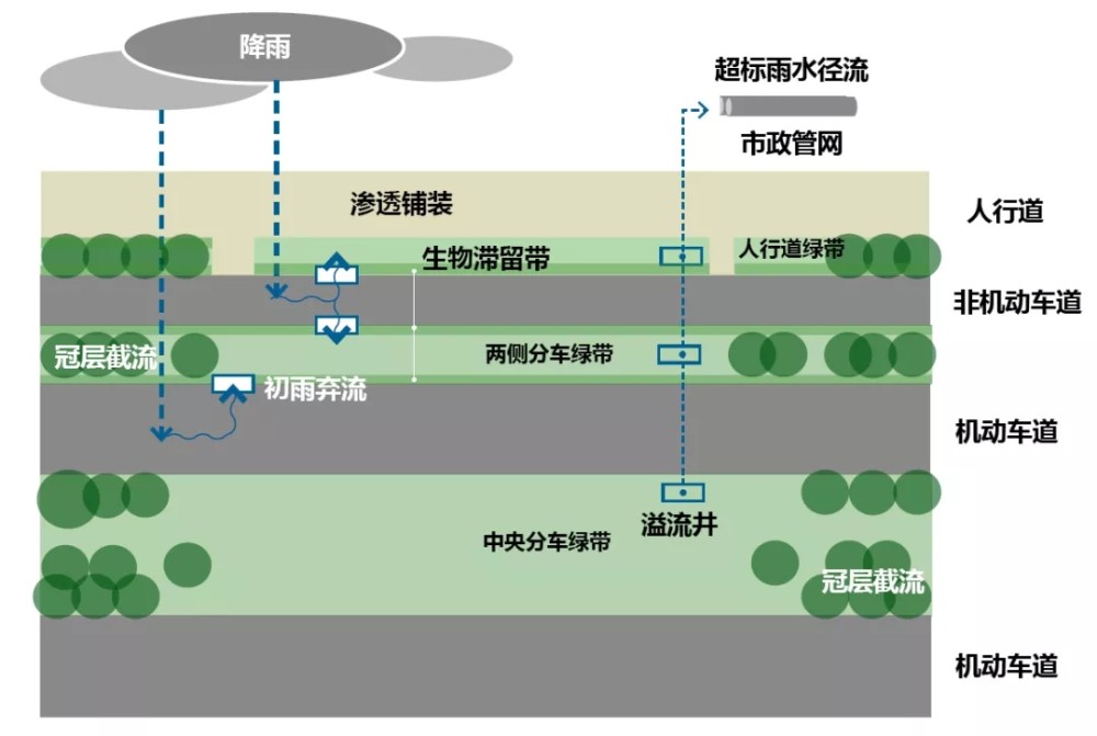 雨博士海绵城市二十一条宝典告诉你海绵型道路怎么做