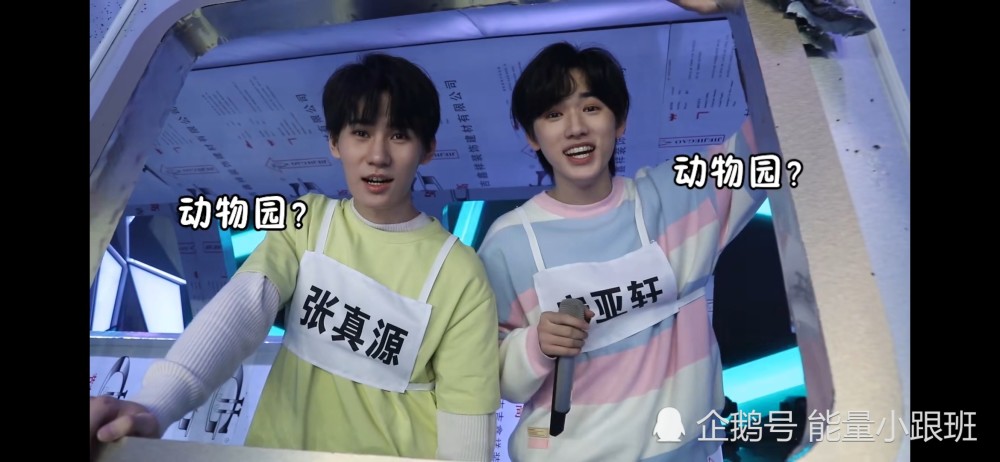 tnt快乐大本营行他们有点宝气但是好喜欢