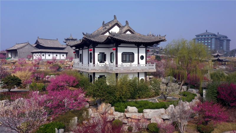 高端媒体看磁县|磁州水墨园梅花在国家级媒体竞相绽放!_腾讯新闻