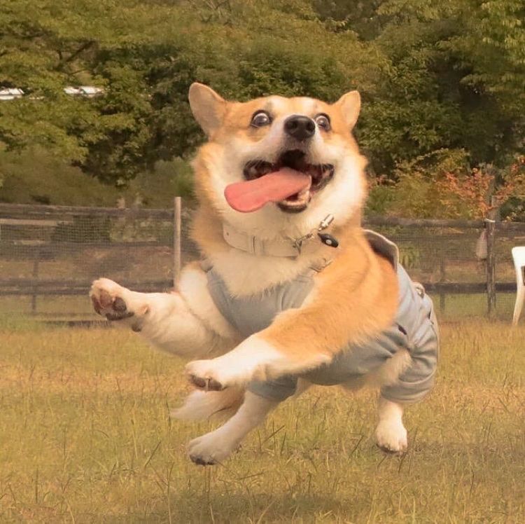 阳光男生必用的宝藏头像