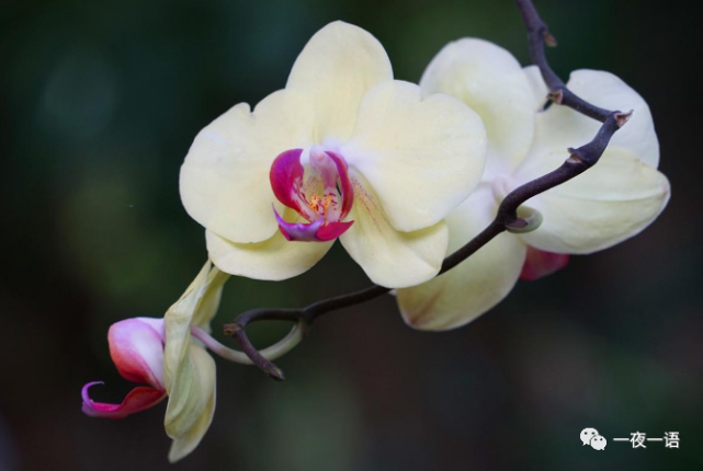 不爱了,就分开吧|爱情|甄嬛|果郡王|李向前|润叶