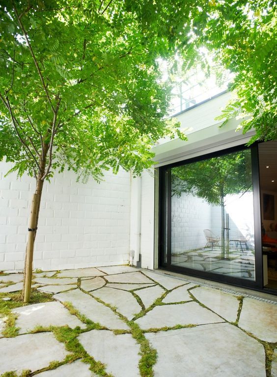 37个几十平的小院子简单拾掇一下让人越看越有味道