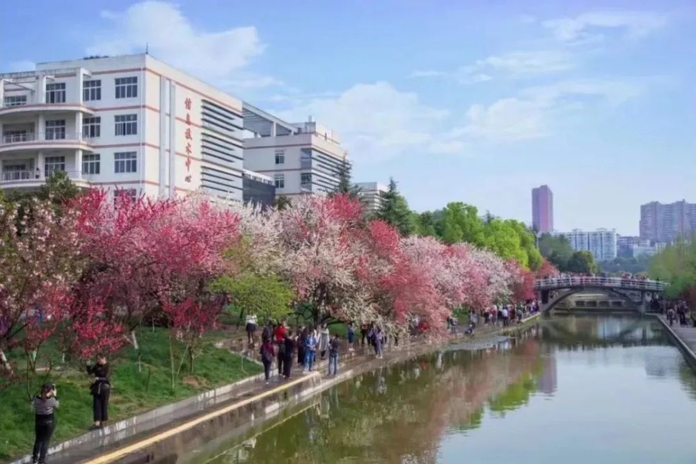 踏青何須捨近求遠,三峽大學這邊風景甚好!_騰訊新聞