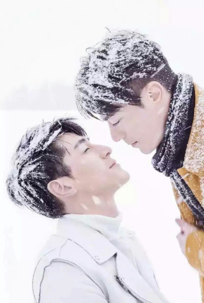 胡歌为什么要实名举报造谣者