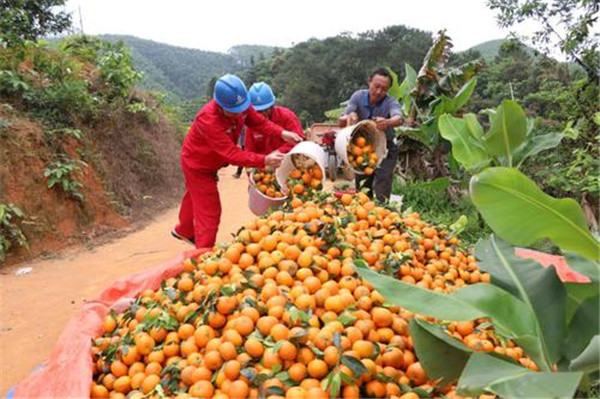 果农|已经低价难卖，又被爆“泡药水”，果农陷入焦虑，专家：一点需注意