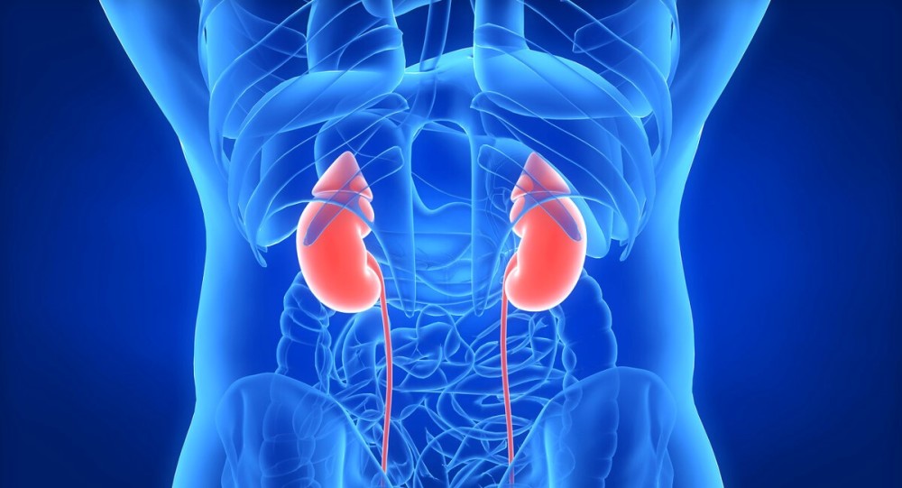 高血压|从高血压到尿毒症，需要多久？有高血压的人要怎样保护肾脏？