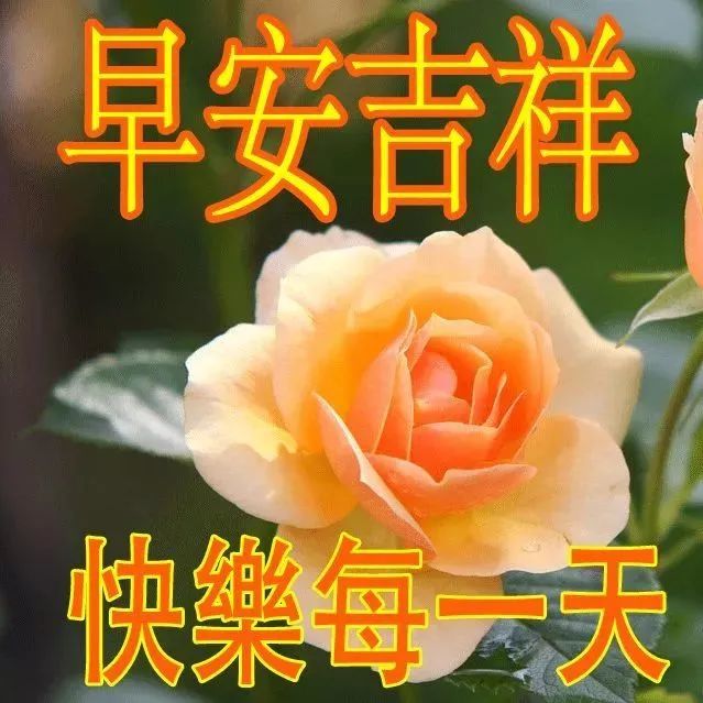唯美春天早上好祝福语 暖心的早安问候语_腾讯新闻