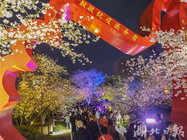 樱花进入盛花期东湖樱园游客爆棚