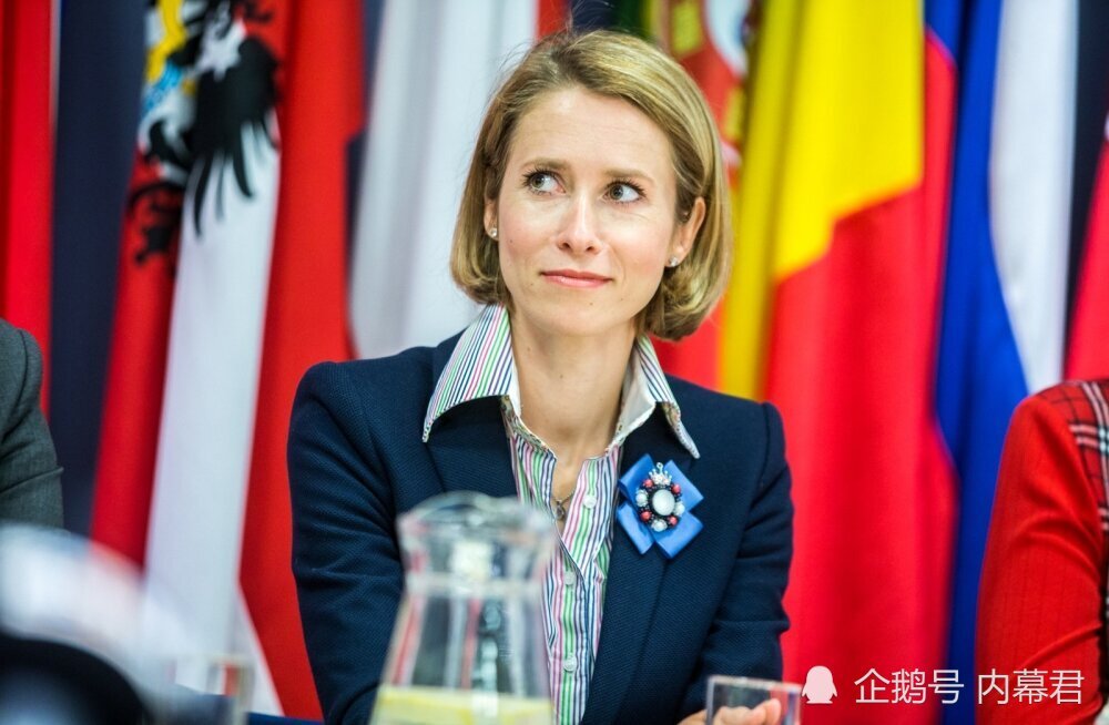 爱沙尼亚女总理新冠肺炎检测呈阳性 将在家履行职责_腾讯新闻