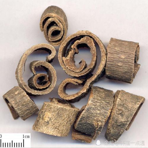 厚朴|【每日一药】厚朴散（兽用）