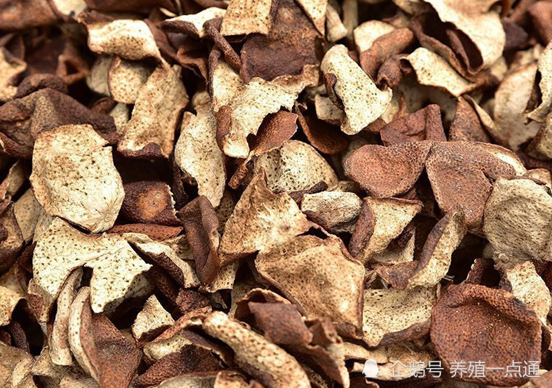 厚朴|【每日一药】厚朴散（兽用）