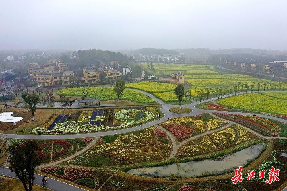 偏僻村湾蝶变花乡景区,黄陂杜堂村开绘乡村振兴美丽画卷_腾讯新闻