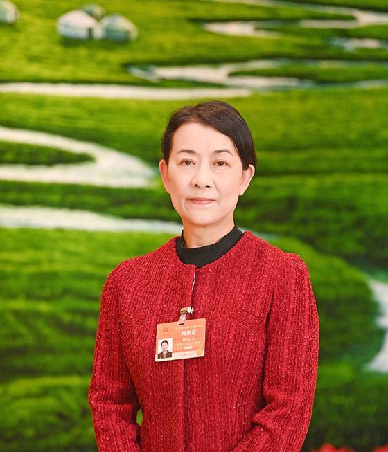 纪委书记监委主任上两会自觉践行两个维护以强有力政