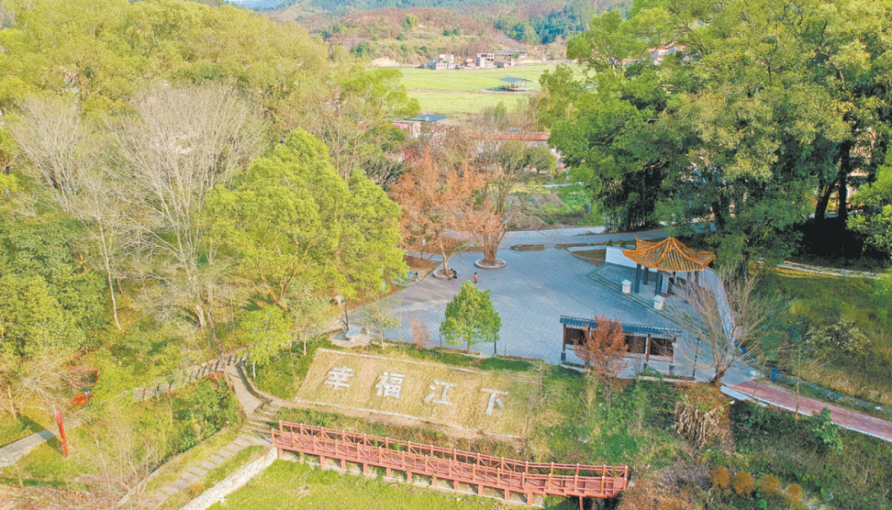 烽火粤北 北江一支队成立大会旧址 香樟树下追寻红色足迹 腾讯新闻