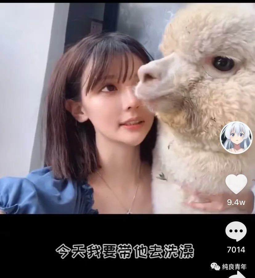 关于原来的名字,木汁和白给.