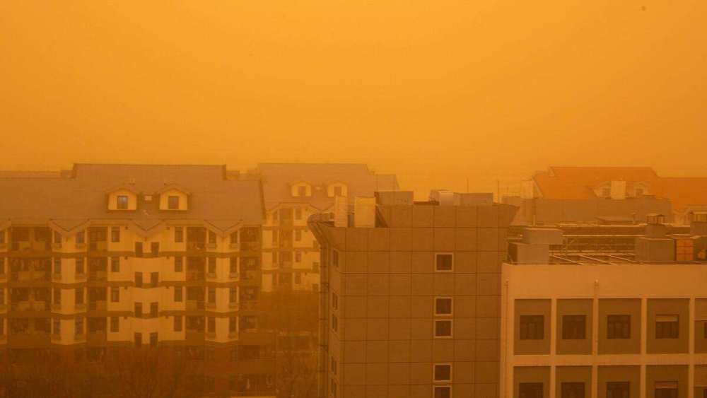 沙漠|为什么不能把沙漠变成森林？专家：会加剧当地干旱