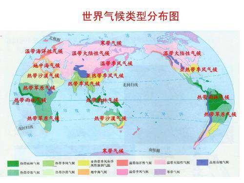 沙漠|为什么不能把沙漠变成森林？专家：会加剧当地干旱