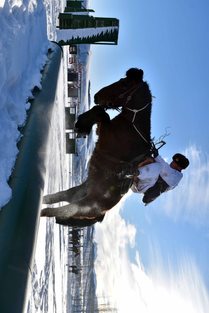 军马训练高清大图来袭帅