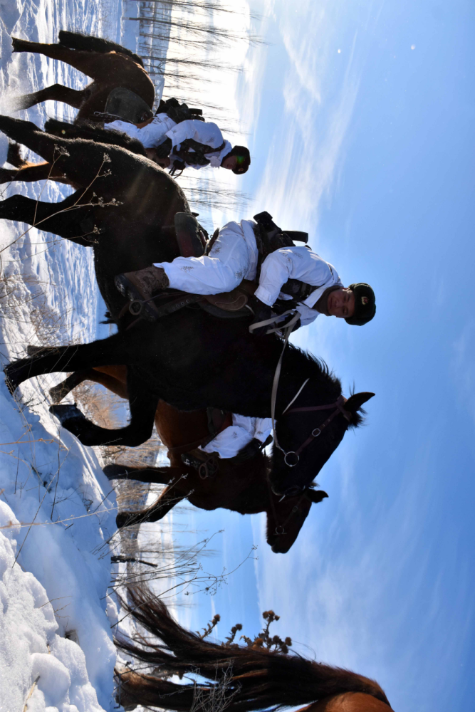 军马训练高清大图来袭帅