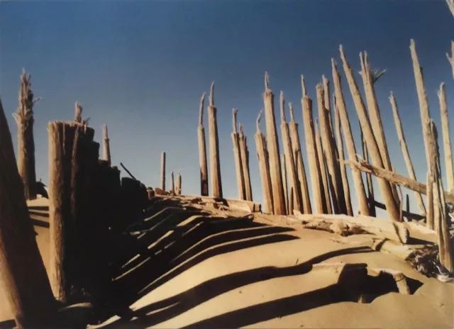 王炳华｜小河墓地，是如何在66年后重新出现在中国学者眼前？_腾讯新闻