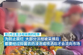 沃柑|较真丨泡药沃柑农民自己都不吃，我们还能吃吗？