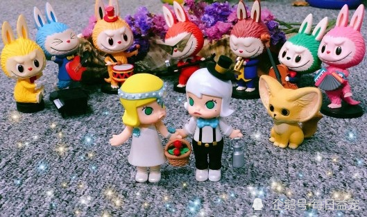 盲盒里装的竟是活体动物99元起概不退换你会买吗