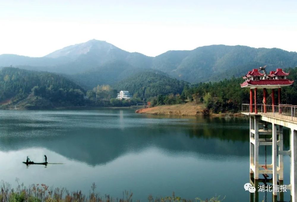 春天在哪里呀春天在哪里和我一起去安陆探春吧