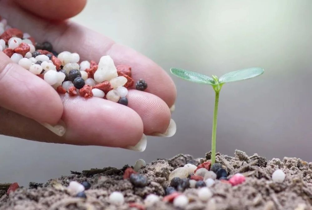 施肥|种植户不知道的施肥误区有哪些？
