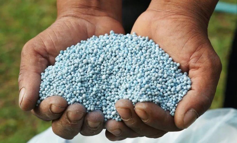 施肥|种植户不知道的施肥误区有哪些？