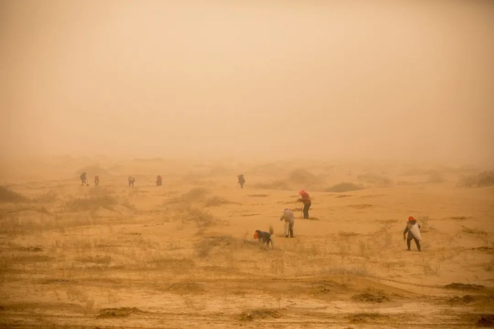 强沙尘暴刮来阿拉善沙漠腹地的他们仍然
