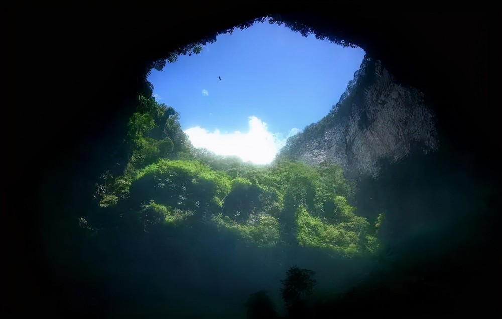 世界上最大的原始森林面积达96万平米就藏在广西天坑下