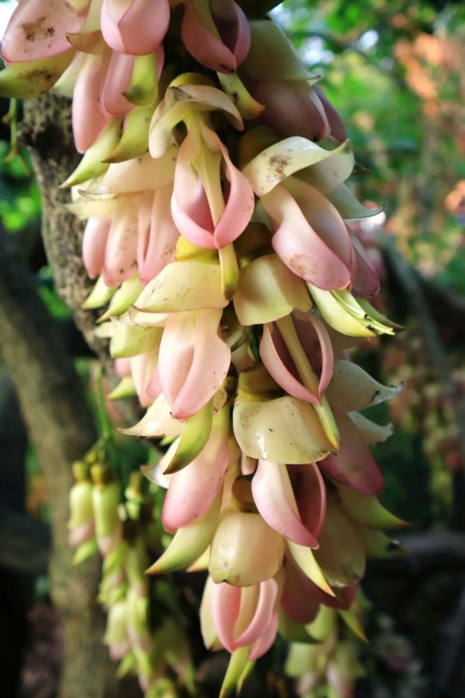 冷空气在路上,气温将直降!速看江门最新天气预报