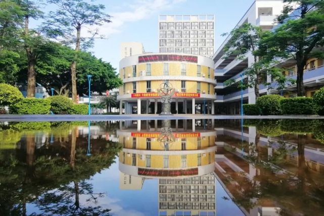 图说乐从|乐从校园春色有多美?每一张都值得收藏