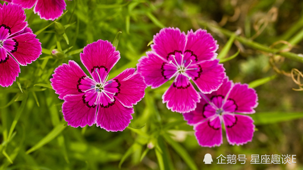 3月17日 21日星座运势 双子人缘不错 天蝎水到渠成 水瓶充满斗志 腾讯新闻