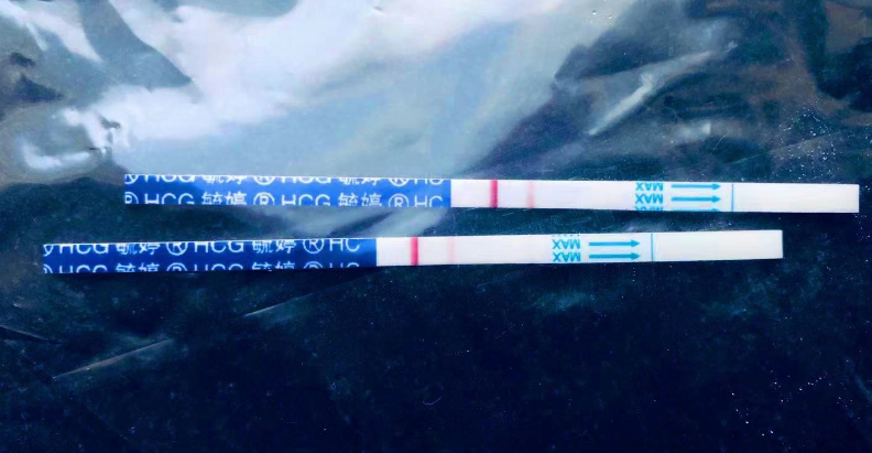 早孕试纸测出两道杠 中医声称"没怀孕""老中医把脉,连喜脉都没看