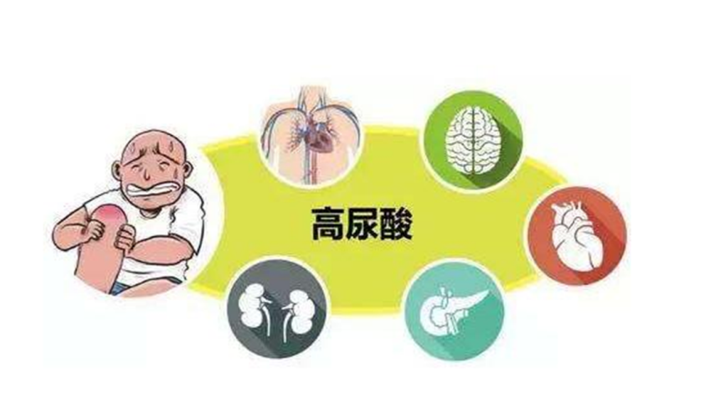 尿酸高|尿酸高的元凶是什么？待痛风来时已晚，提早可以这样防治