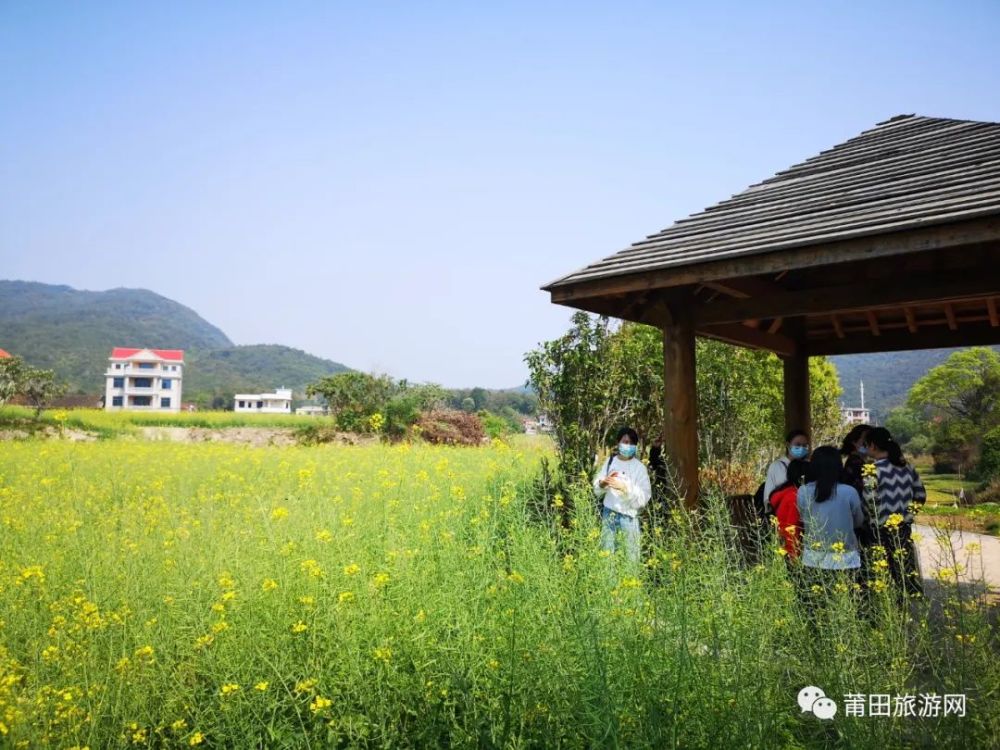 最美季节走进涵江澳东村