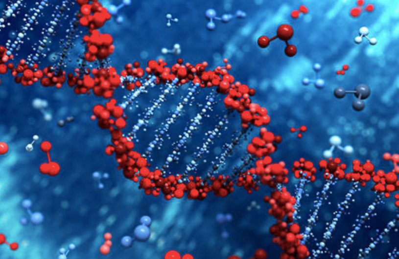高压氧舱|27岁富豪年入5亿，为求不老，花400万买高压氧舱