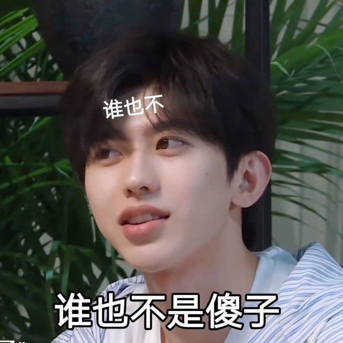 让我康康谁还没有坤坤子的表情包呢表情包爱豆