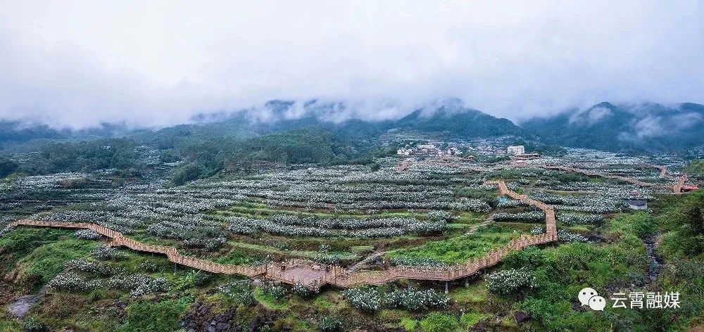 特色村(建议游览时长1h)棪树村枇杷生态观光园被称为"云霄布达拉宫"