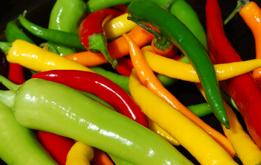 历史上外来的茄果类食材已经成为中餐重要的组成部分