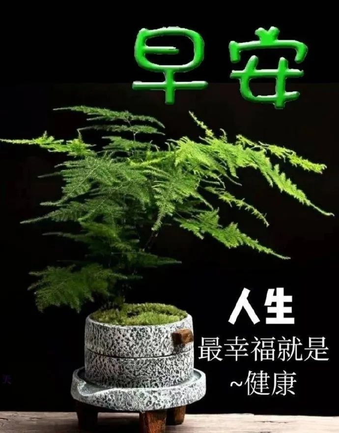 特别漂亮的早安问候语图片带字最美早上好问候语及关心话