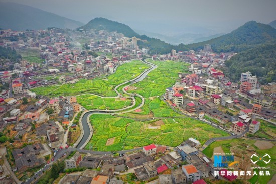 泉州虹山乡畅游花海邂逅春天
