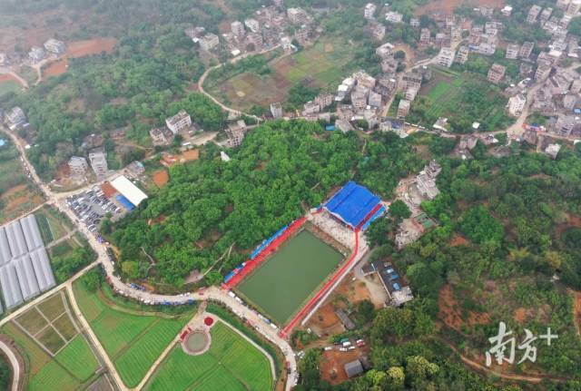 南方日报报道驻镇帮镇扶村工作队为化州平定镇产业振兴开新方