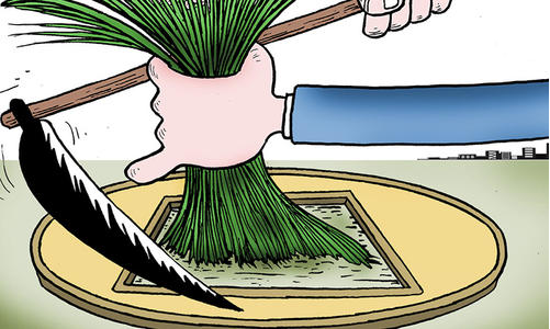 韭零后生而被割,生生不息因为基金大跌而破灭坐拥百万资产梦想的1990