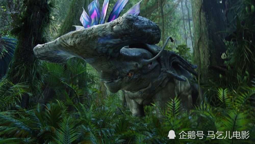 锤头雷兽被纳美人唤作angtslk,是一种四眼犀牛.